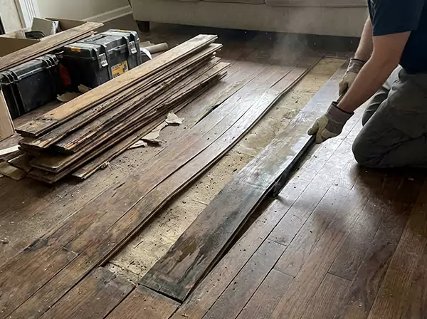 Water Damage Drying in Epworth