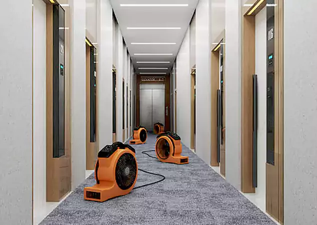 Your Flood Recovery Specialists in Epworth, GA