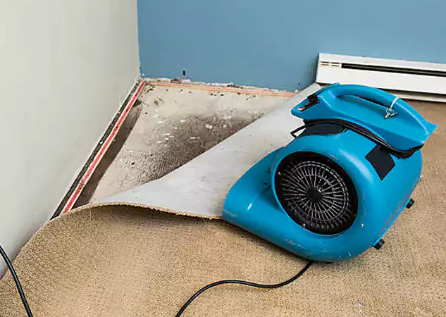 Your Water Damage Experts in Epworth, GA