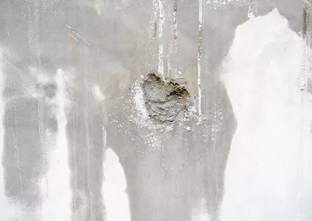 Your Mold Mitigation Solutions Partner in Epworth, GA