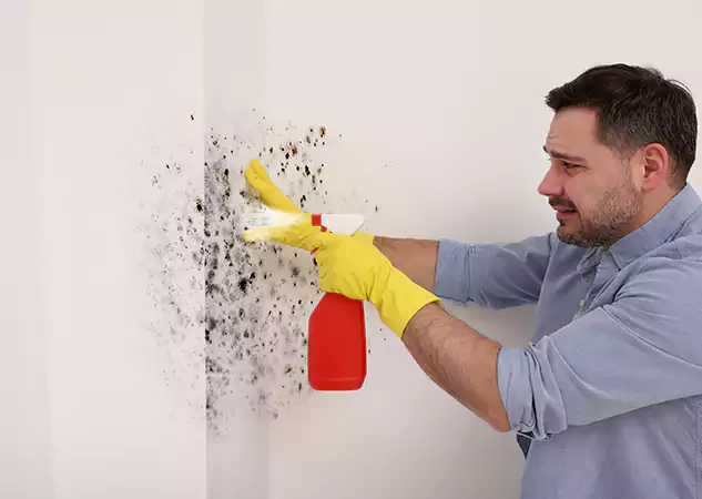 Your Water Mold Fire Restoration Partner in Epworth, GA