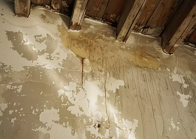 Your Trusted Restoration Company in Epworth, GA