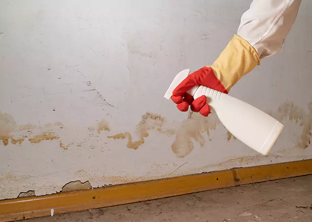 Your Water Restoration and Mold Remediation Specialists in Epworth, GA