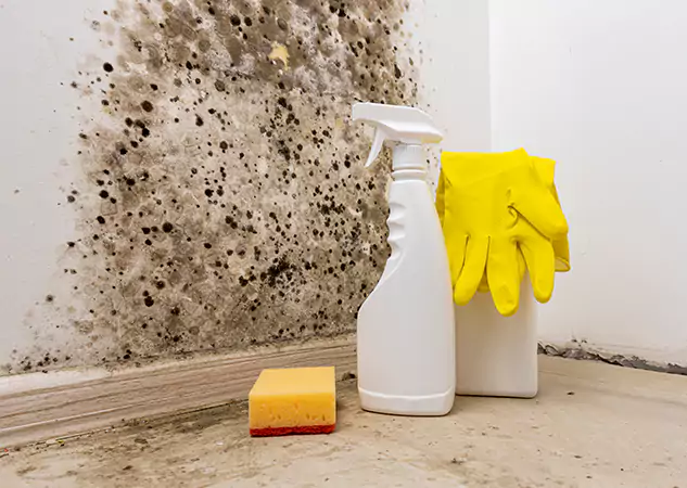 Your Reliable Restoration Company in Epworth, GA