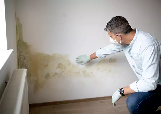 Reach Our Remediation Team Before Damage Grows in Epworth, GA!