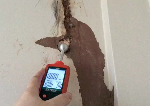 Your Water Damage Assessment Partner in Epworth, GA
