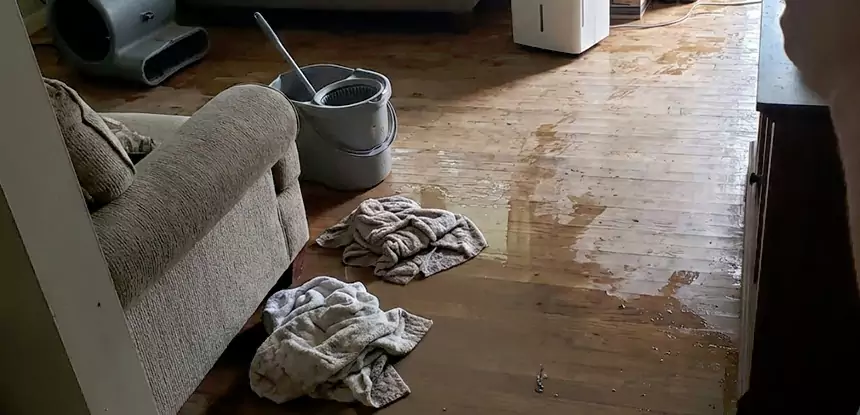 Professional Basement Water Remediation Services in Epworth, GA