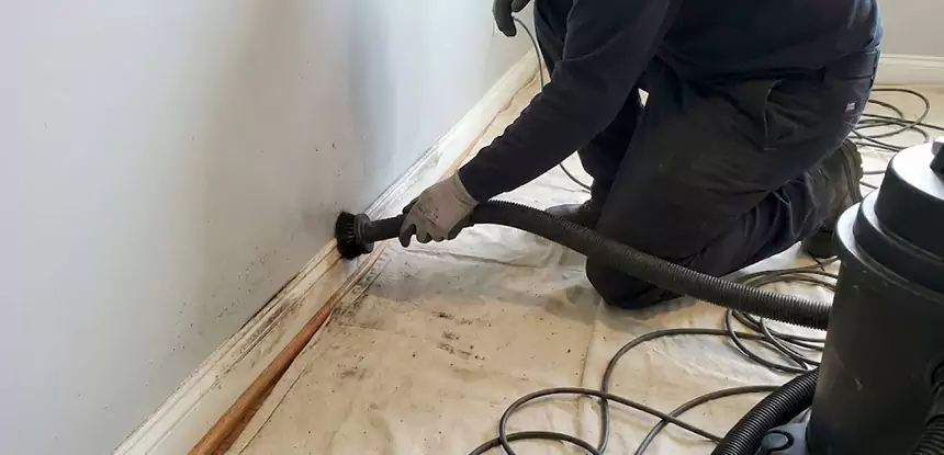 Professional Smoke and Water Damage Restoration Services in Epworth, GA