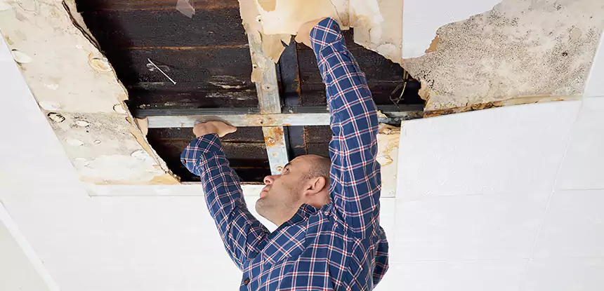 Attic Wood Rot Repair in Epworth