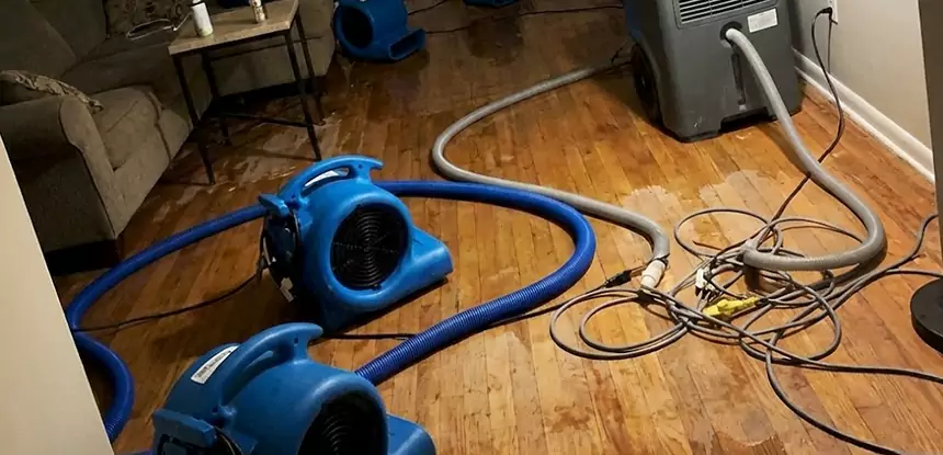 Basement Flood Restoration Services in Epworth