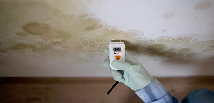Emergency Mold Remediation in Epworth