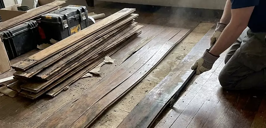 Wood Rot and Fungus Repair in Epworth