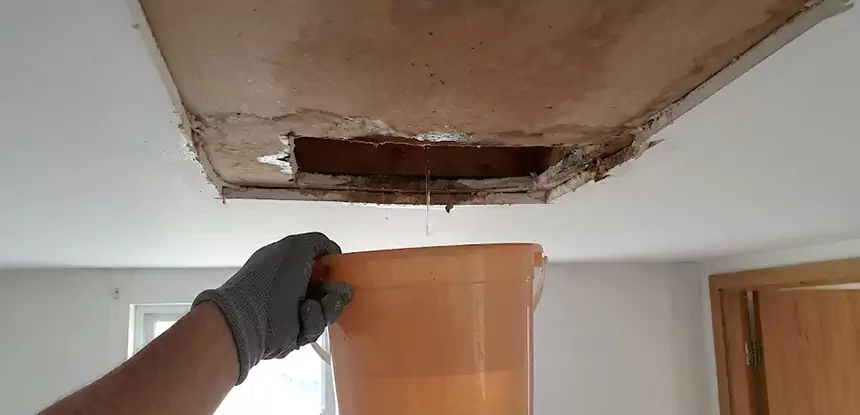 Ceiling Mold Repair Epworth