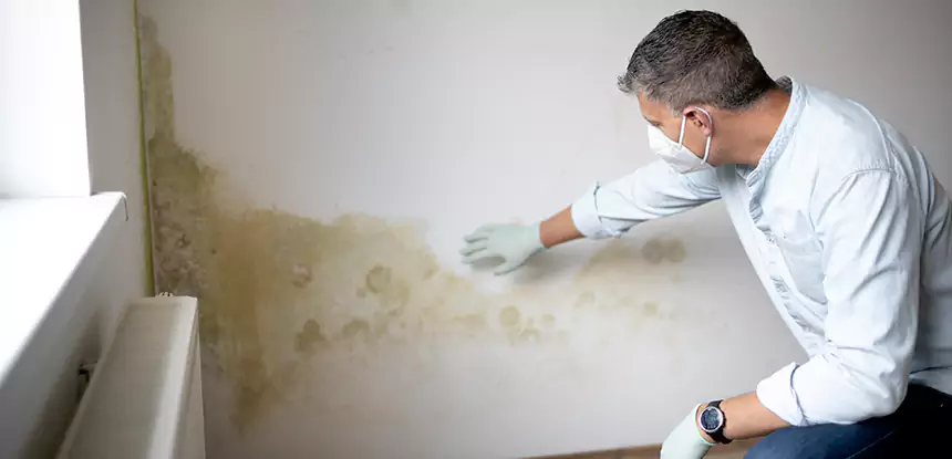 Mold and Water Damage Repair in Epworth