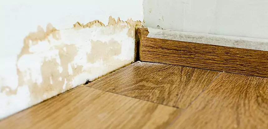 Professional Fix Water Damaged Wood Services in Epworth, GA