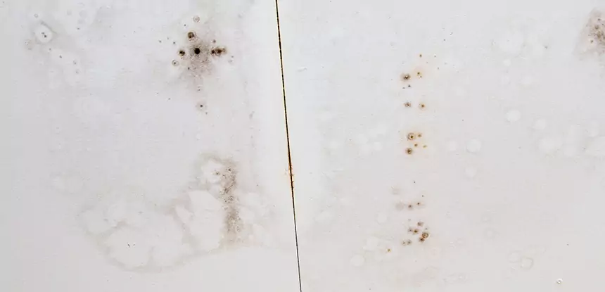 Professional Water Stain Repair Services in Epworth, GA