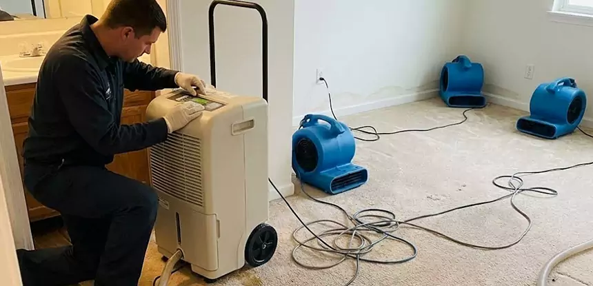 Professional Wet Carpet Removal Services in Epworth, GA