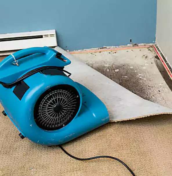 Why Epworth Trusts Epworth Restoration Pro for Carpet Flood Recovery?