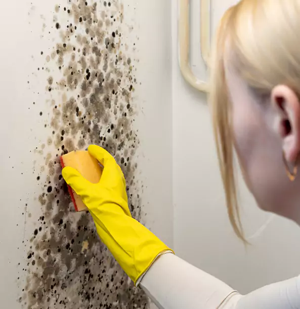 Why Epworth Restoration Pro Leads Mold Remediation in Epworth?