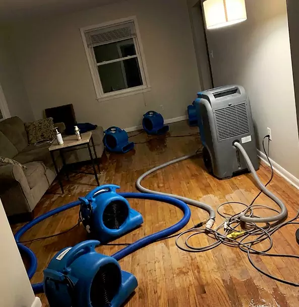 Why Epworth Property Owners Rely on Epworth Restoration Pro for Remediation?