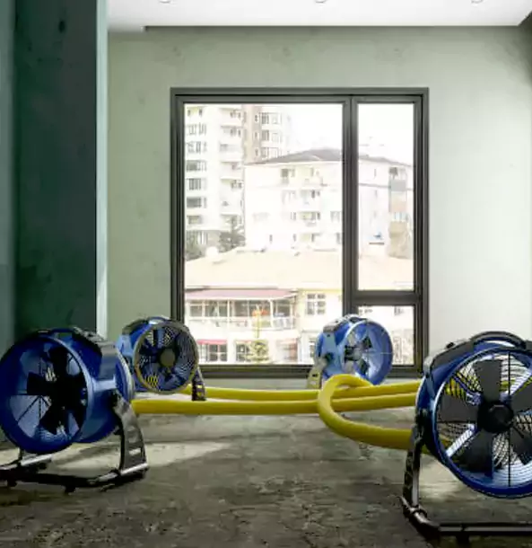 Why Epworth Property Owners Trust Epworth Restoration Pro for Water Damage Drying?