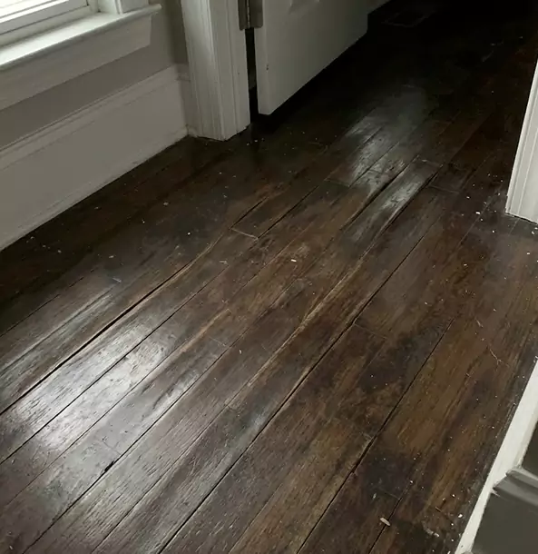 Why Epworth Homeowners Trust Epworth Restoration Pro to Fix Water Damaged Wood?