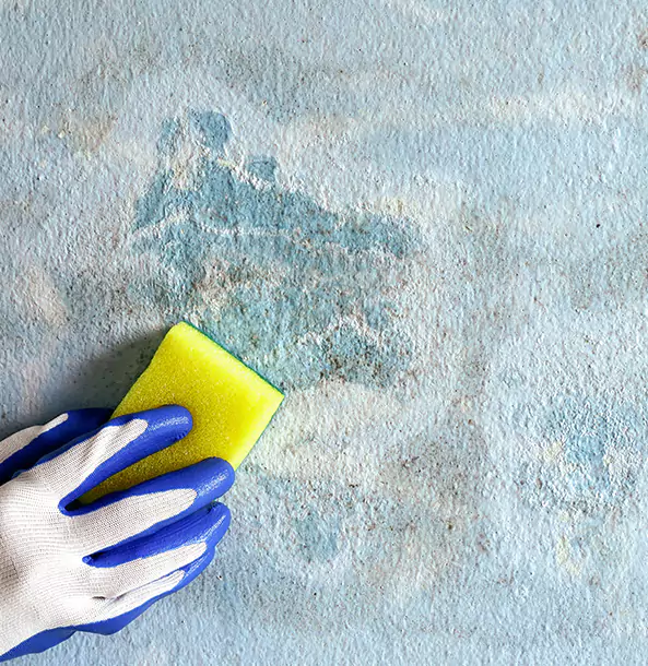 Why Epworth Restoration Pro Is the Right Choice in Epworth, GA?