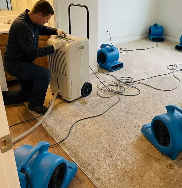 Why Epworth Homeowners and Businesses Trust Epworth Restoration Pro for Carpet Drying?