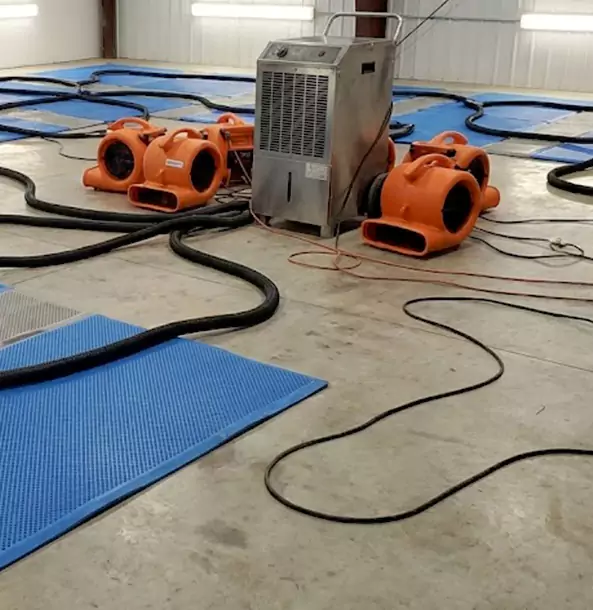 Why Epworth Homeowners and Businesses Choose Epworth Restoration Pro for Wet Carpet Removal?