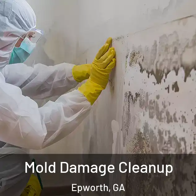  Mold Damage Cleanup Epworth, GA