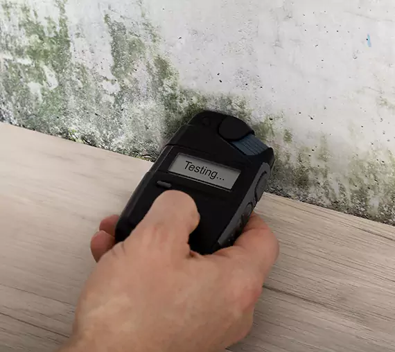 Mold Remediation Service Epworth